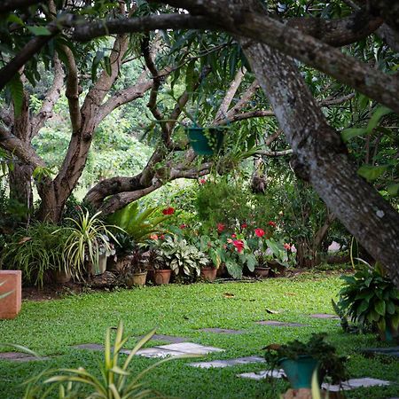 Shan Mango Homestay Σιγκιρίγια Εξωτερικό φωτογραφία
